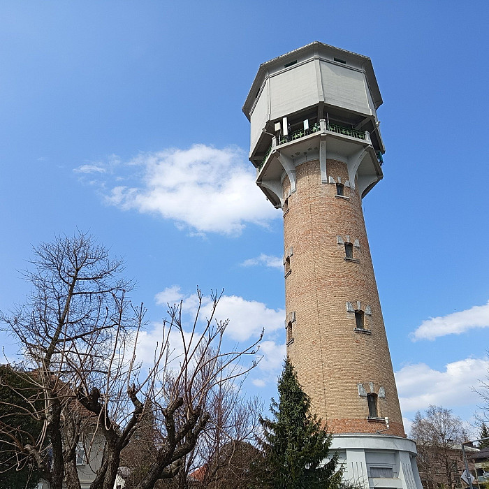 Kulturni dan četrtošolcev: Po Prešernovih stopinjah