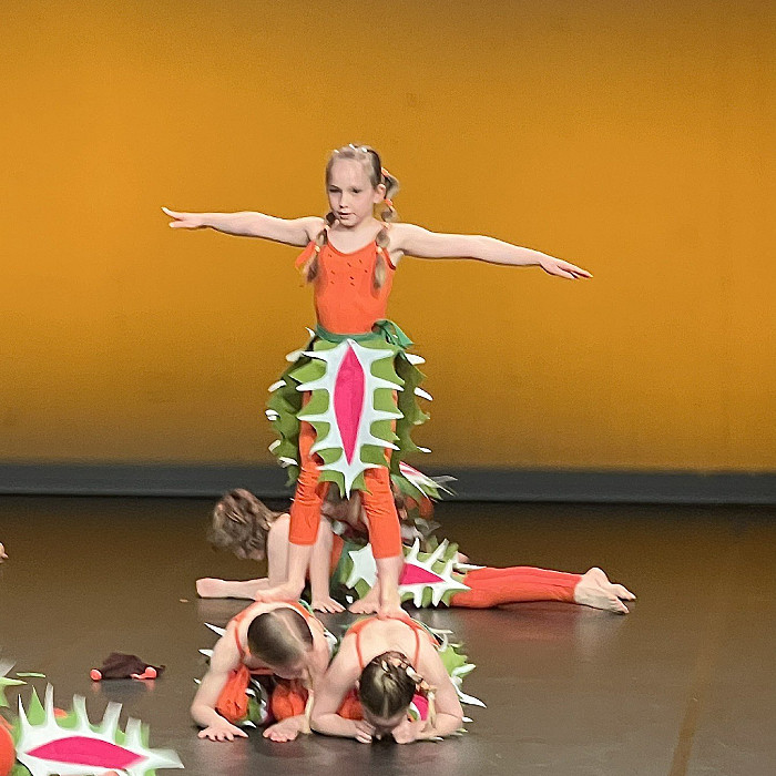 Učenci naše šole nastopili v plesni predstavi Večerja pri Addamsovih